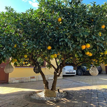 B&B Templi E Arte Villaggio Mosè Exteriör bild