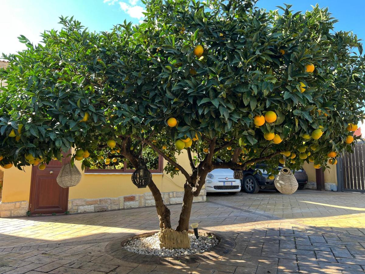 B&B Templi E Arte Villaggio Mosè Exteriör bild